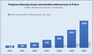 pronoza liczby samochodów elektrycznych do 2030 w polsce