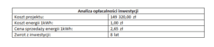 analiza opłacalności inwestycji w stacje ładowania