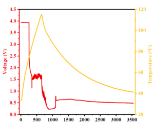 Thermal Propagation Test Profile