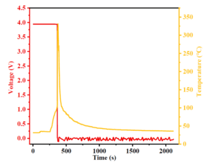 Flammability Test Profile
