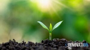 Wyrastająca z ziemi roślina symbolizująca ekologię