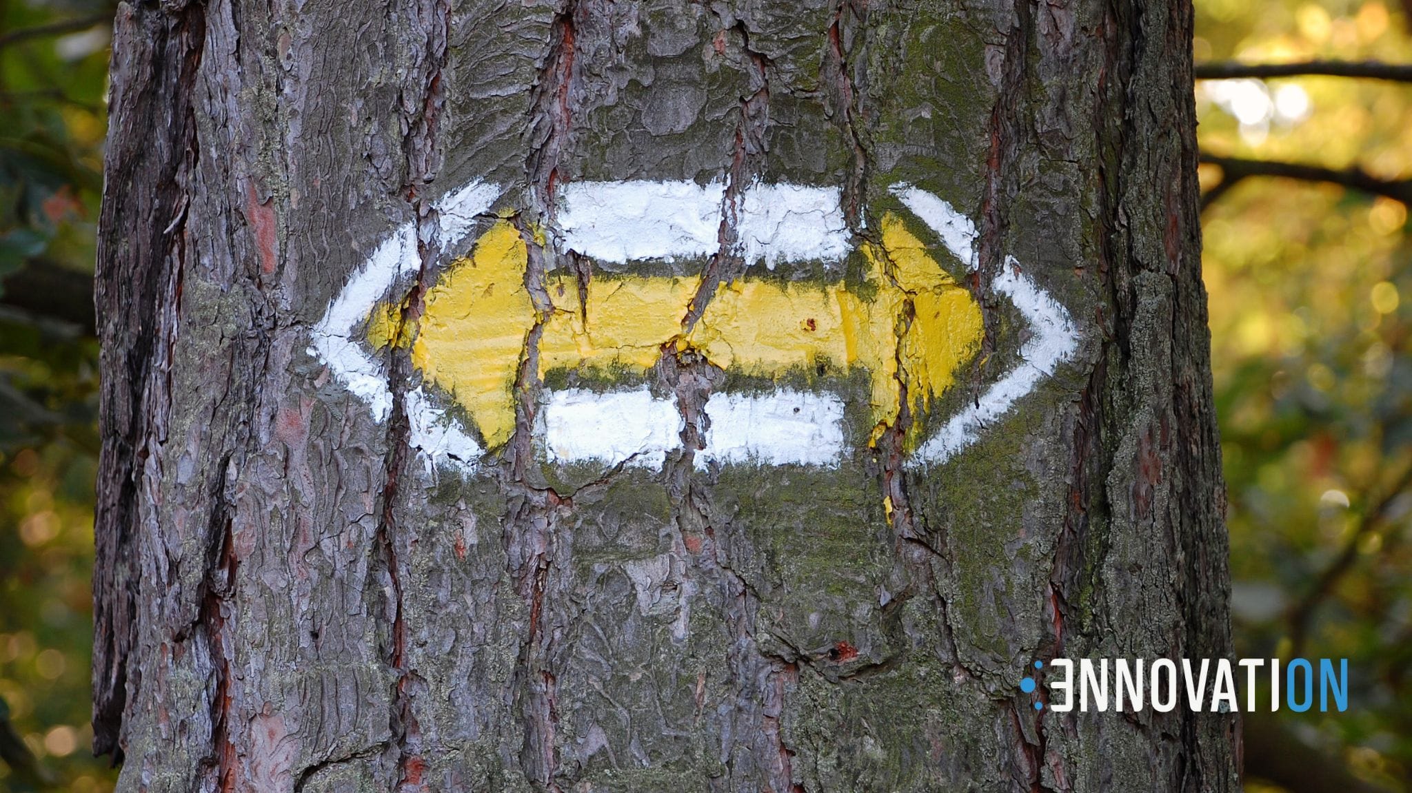 V2G, bidirectional energy transfer system.