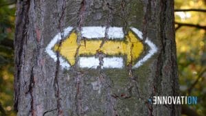 V2G, dwukierunkowy system oddawania energii. Zdjęcie drzewa i strzałka w obie strony